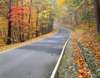 Rural Routes photo