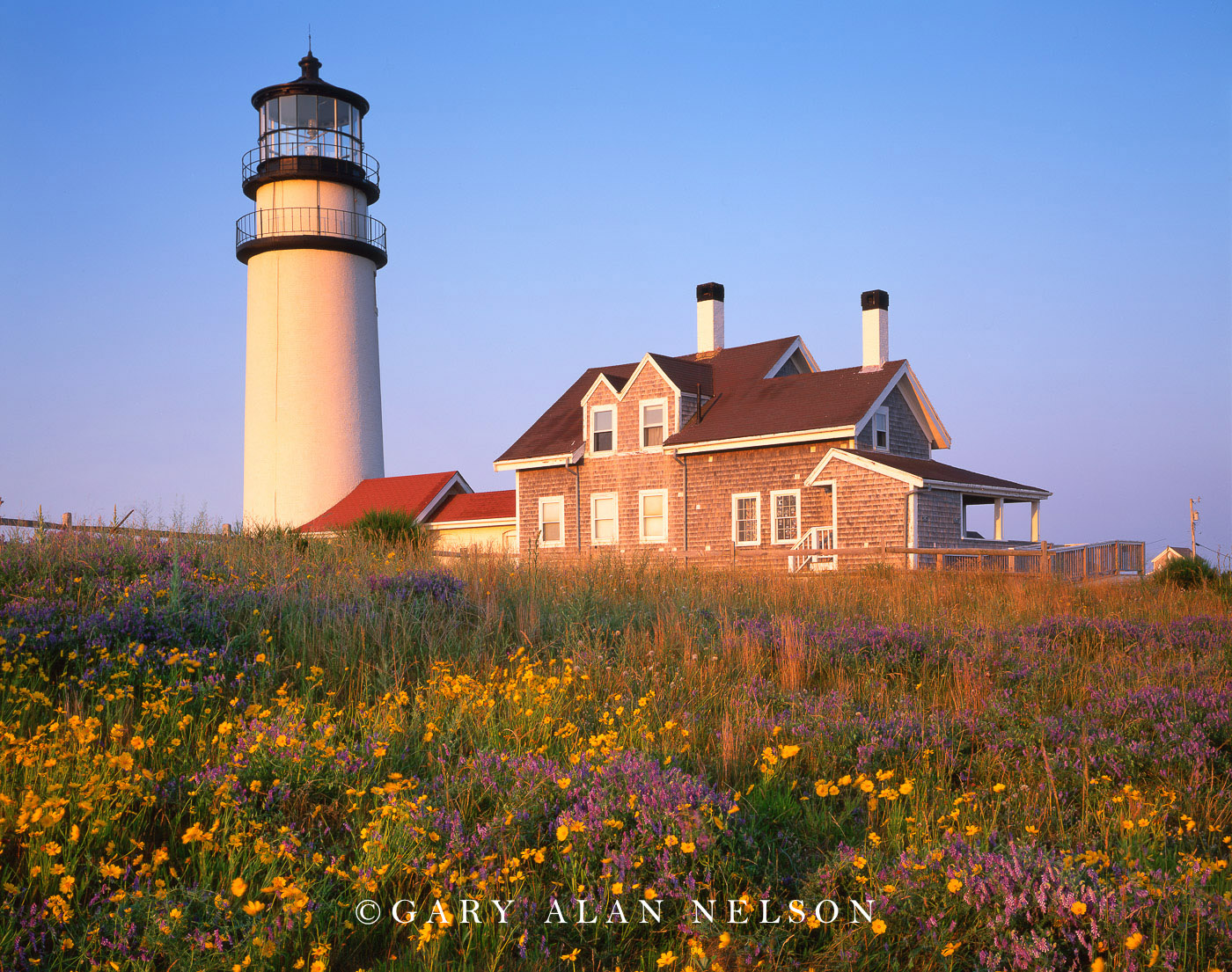 Cape cod photography book Cape cod photography book