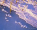 Fox Tracks on Ice print