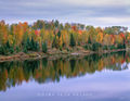 Autumn in the Chippewa Forest print