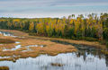 Autumn Marsh in Superior Ntl. Forest print