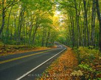 Scenic Highway 41