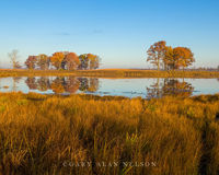 Oak Savannah and Cattail March