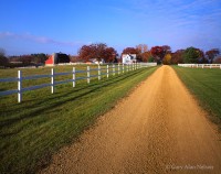 Fence, Barn and Road