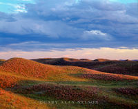 The Sandhills