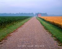 Barn, Wheat, Corn and Road