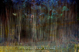 Patchwork Aspens