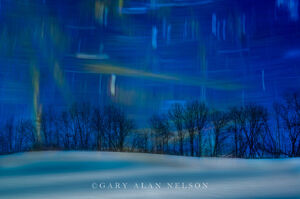 Winter Moonlight and Star Trails
