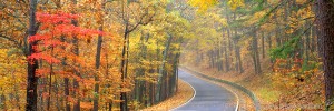 Winding Road in Autumn