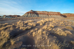 Badlands and Grasses