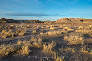 Badlands and Grasses