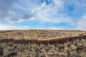 Petrified Log Line