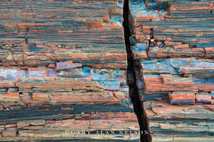 Petrified Wood Grain