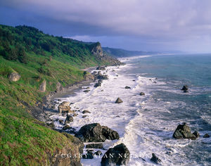 Pacific Coast under Menacing Skies