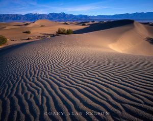 Rippled Dunes, Death Valley National Park