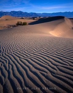 Rippling Dunes, Death Valley National Park