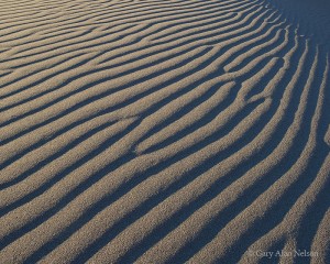 Rippled Sand