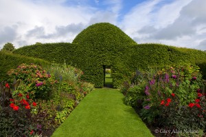 Hole in Garden Wall