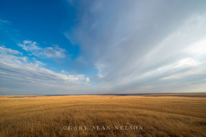 Prairie and Sky Lines
