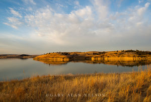 Prairie and Wilson Lake