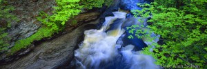 Presque Isle River