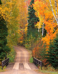 Bridge over Sawmill Creek