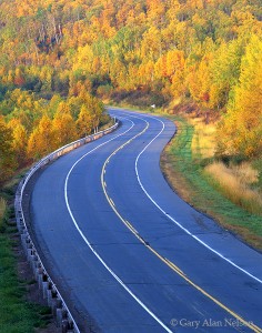 Highway 61