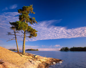 MN-05-24-NP