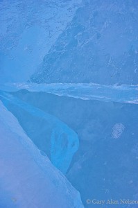 Blue Ice Shards