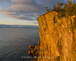 Palisade Head