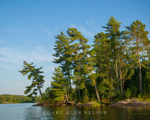MN-09-131-NP