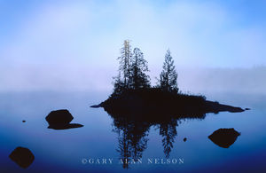 Island on Sawbill Lake