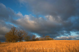 Prairie and Clouds