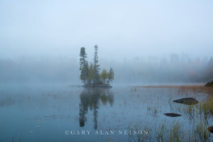 MN-15-124-NF