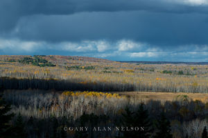 MN-15-353-NF