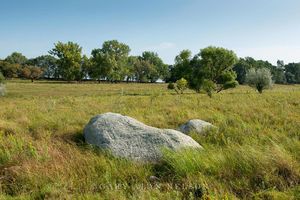 Glacial erratics