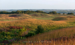 Glacial moraine and prairie grasses