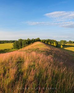 Esker on prairie, Lake Johanna Esker