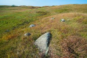 Glacial erratics on a moraine