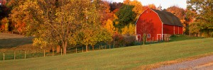 Red Barn in Autumn