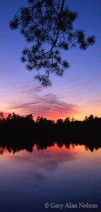 Silhouette over Loon Lake