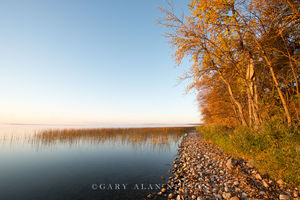 Morning Light on Lake Mary