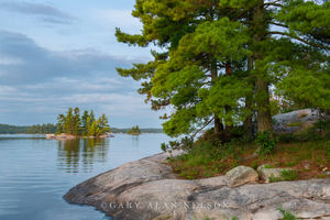 Pine Island on Kabetogema Lake