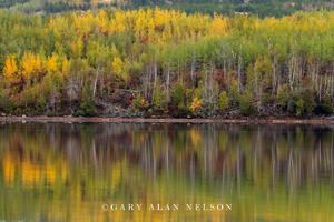 Autumn along Gunflint Lake, Superior National Forest, Minnesota