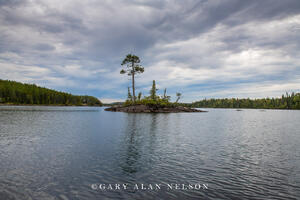 Island on Seagull Lake, Boundary Waters Canoe Area Wilderness, Minnesota