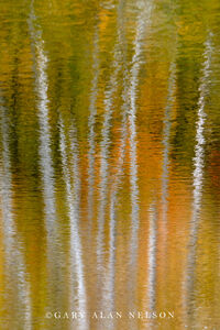 Autumn reflections on pond