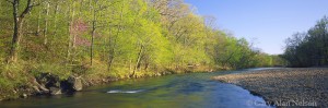 The Current River in Spring