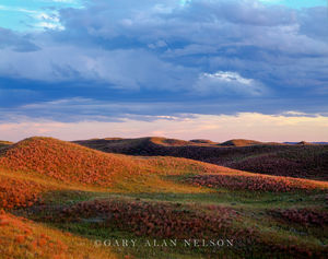 The Sandhills