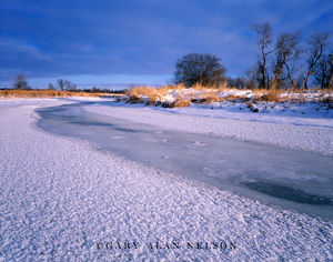 Rime Ice on Buffalo Creek