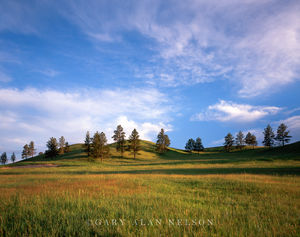 Gamboling Hills